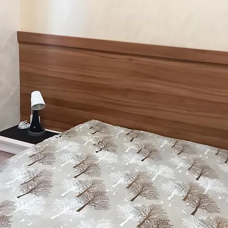 Centar Apartament Zlatibor